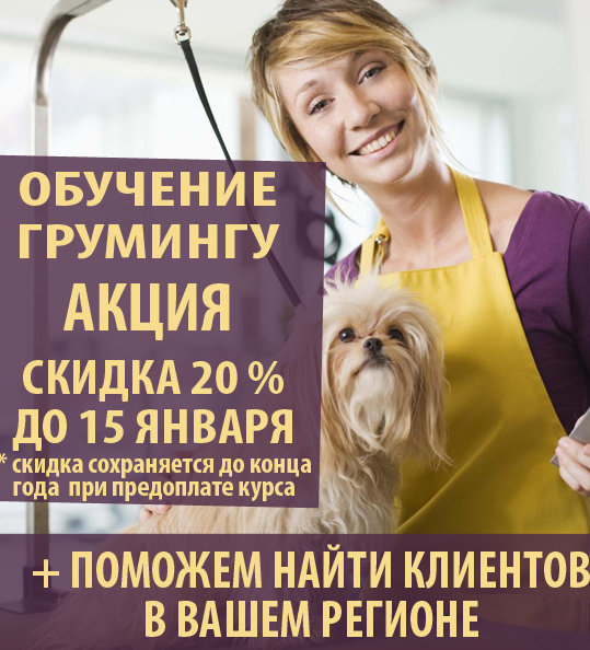 Курсы груминга в Москве - обучение стрижке и правильному уходу за собаками