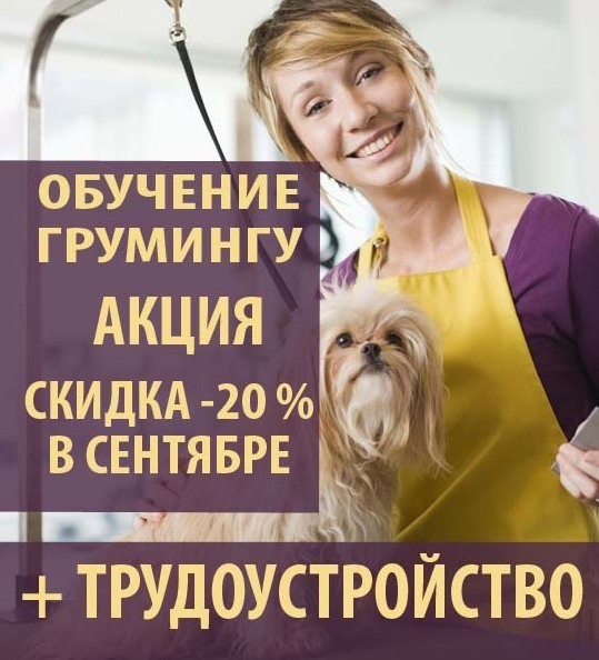 скидка 20% на обучение грумингу