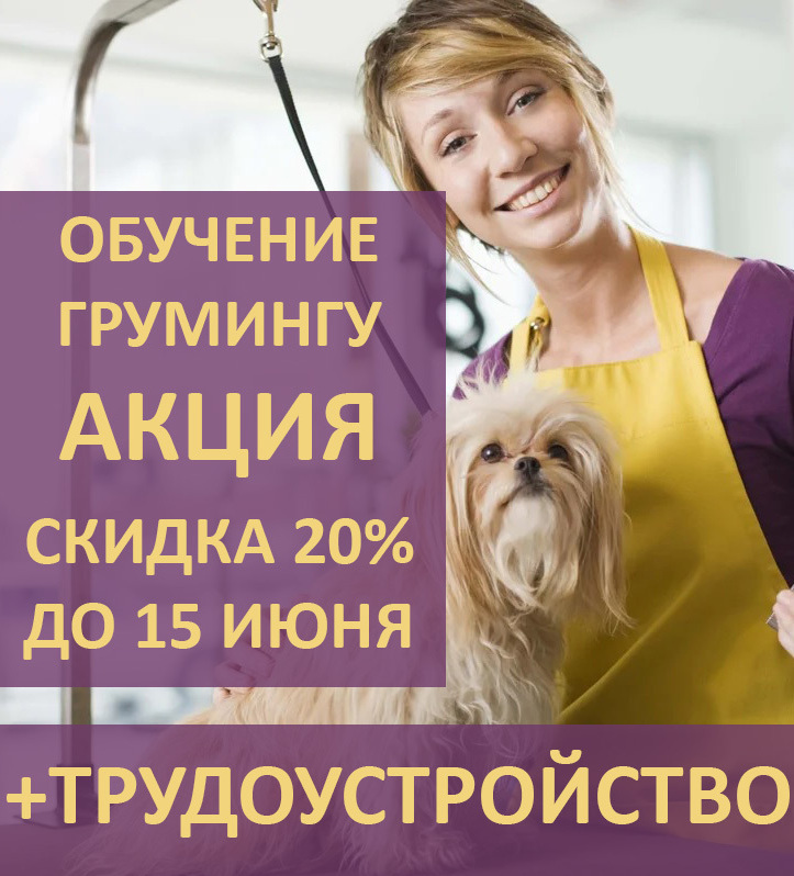 скидка 20% на обучение грумингу