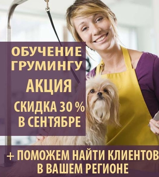 Скидка 30% на обучение грумингу