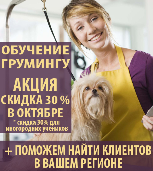 Скидка 30% на обучение грумингу