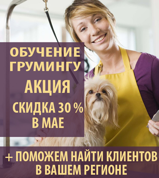 Скидка 30% на обучение грумингу