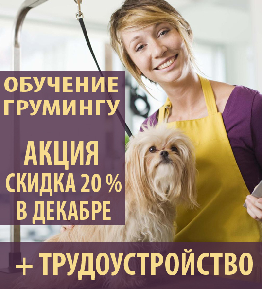 скидка 20% на обучение грумингу