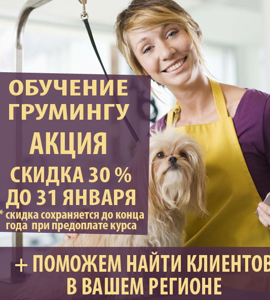 Скидка 30% на обучение грумингу