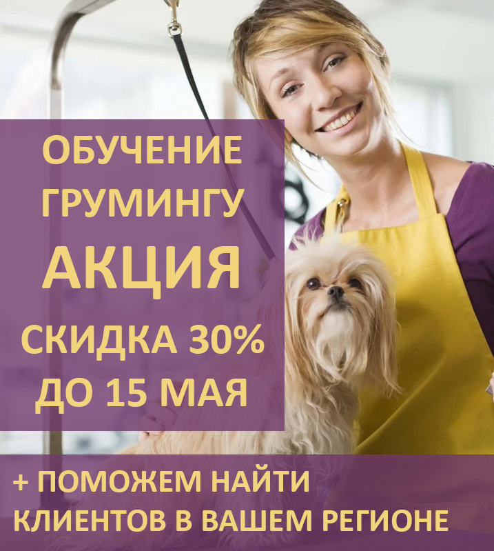 Скидка 30% на обучение грумингу