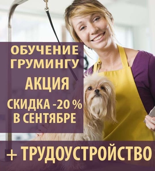 скидка 20% на обучение грумингу